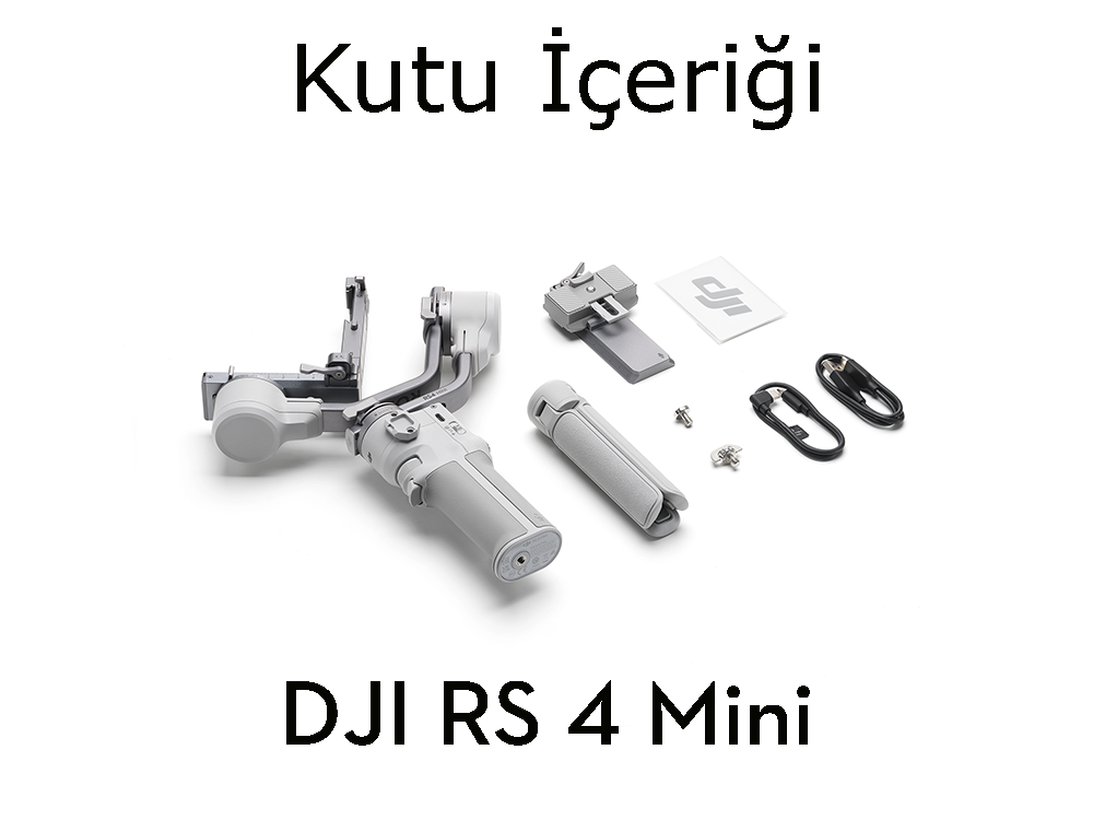 RS 4 Mini kutuda ne var